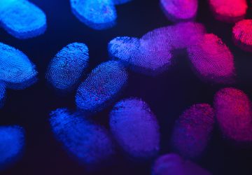 Identity, human finger prints shown up using light